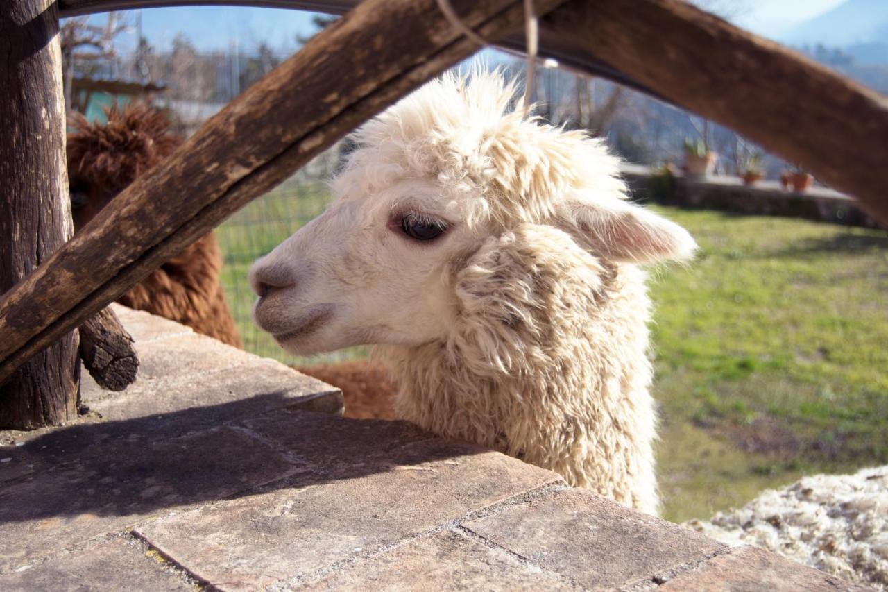 Montanari Agrivillage Нарні Екстер'єр фото